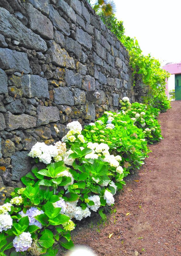 Maison d'hôtes Quinta Nossa Senhora De Lourdes à Capelas Extérieur photo